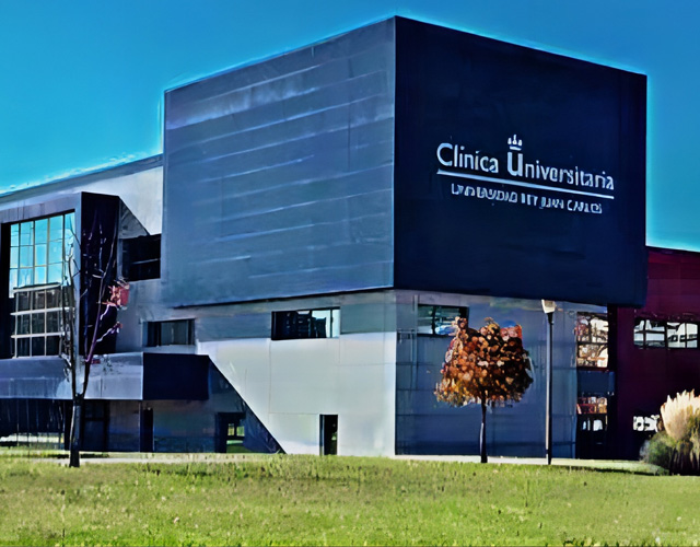 胡安卡洛斯国王大学